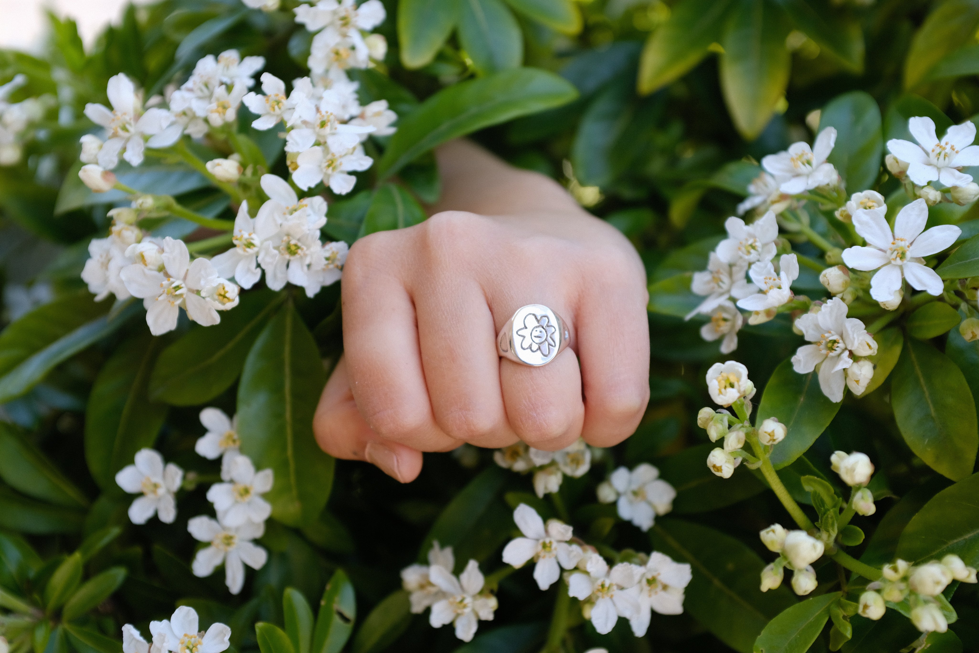 Indifferent daisy signet Sken brand photo