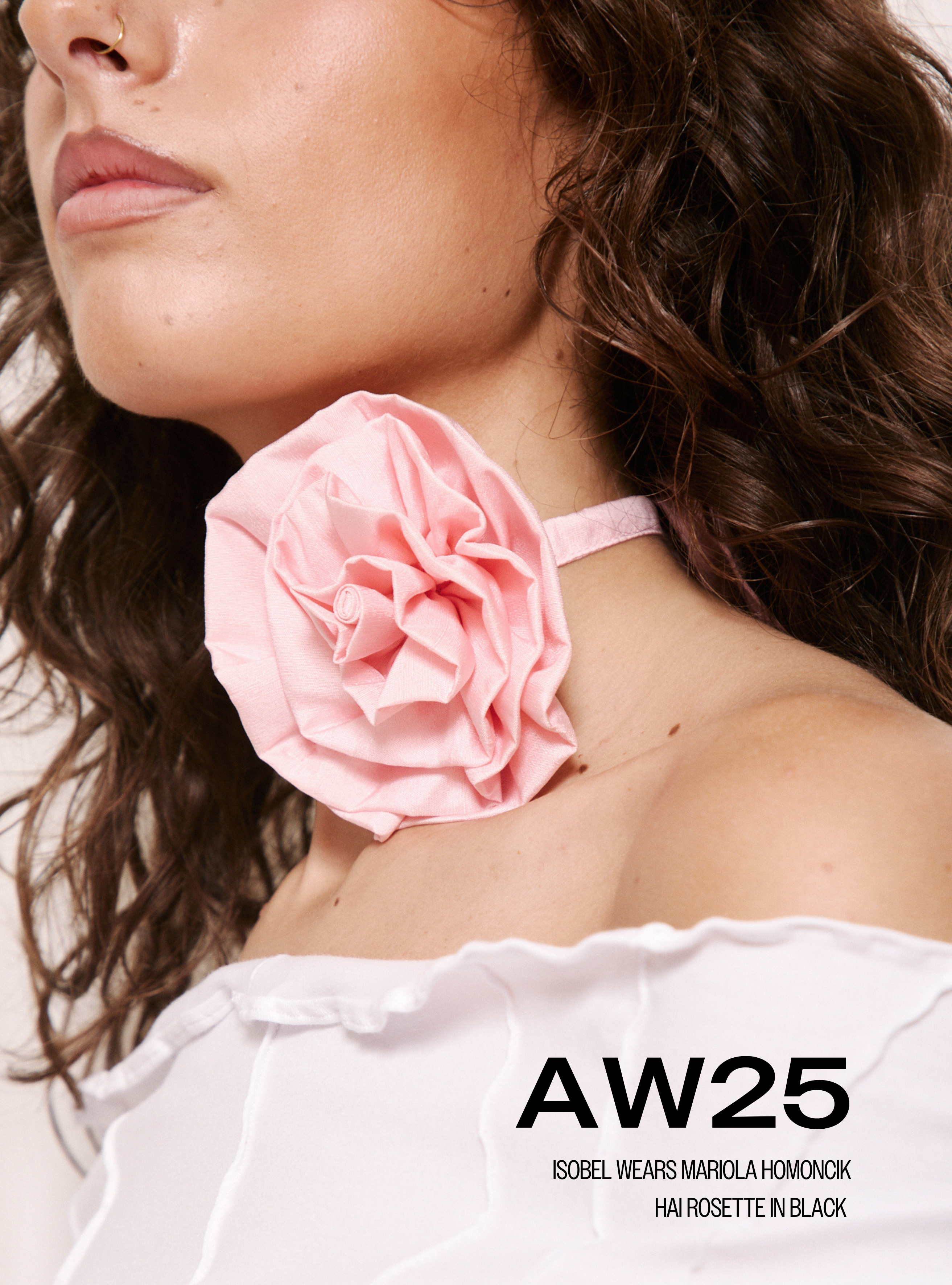 AW25.png