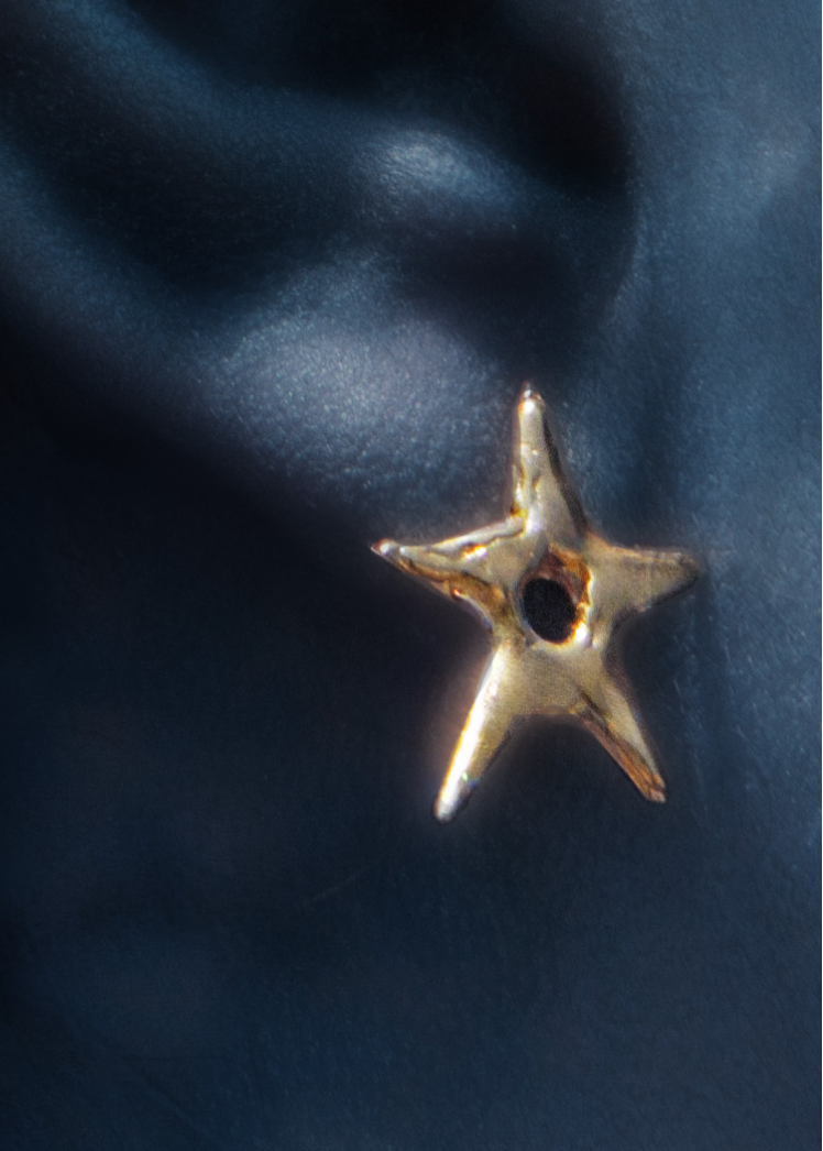 Carinae Gold Earrings Alba