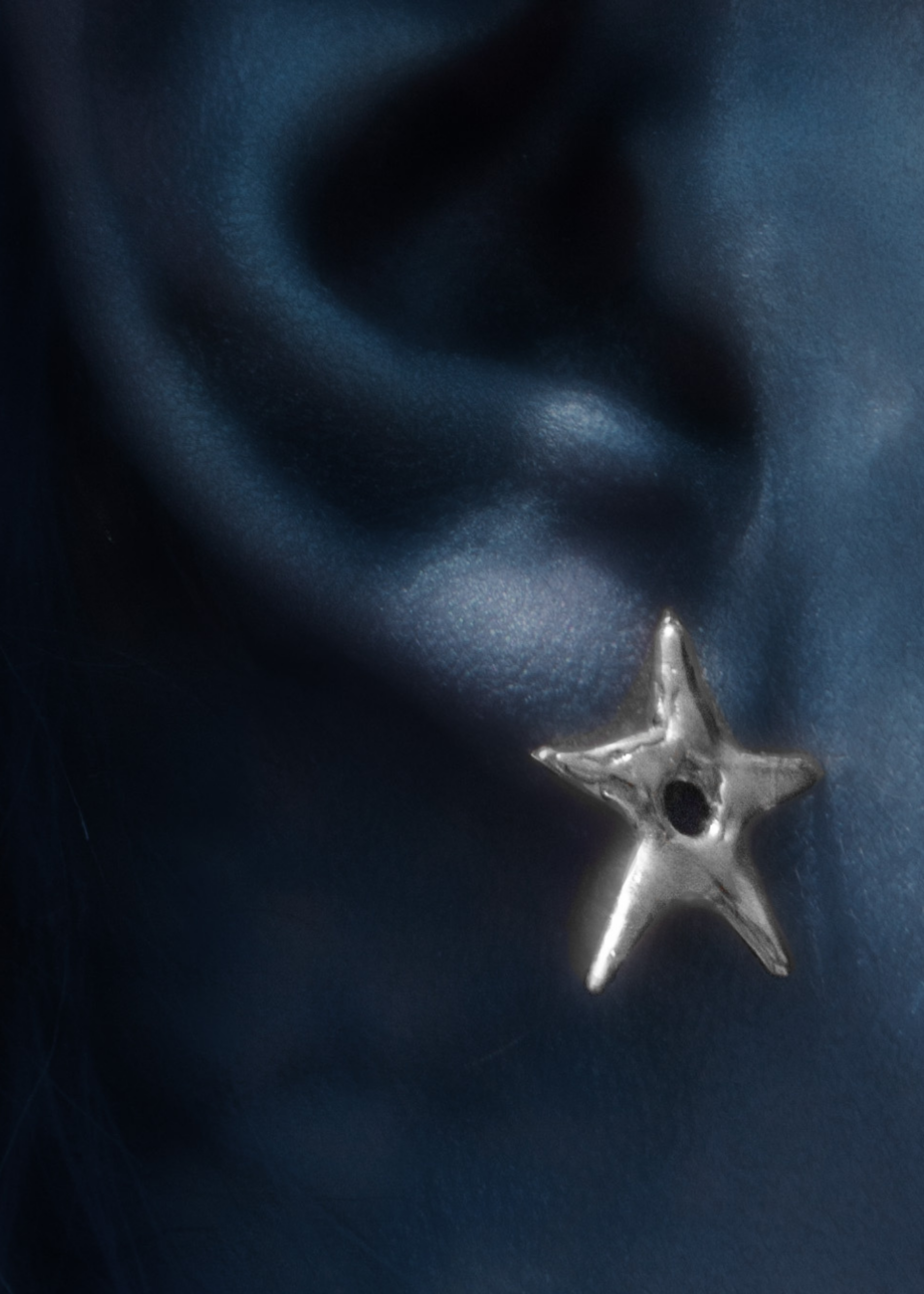 Carinae Silver Earrings Alba