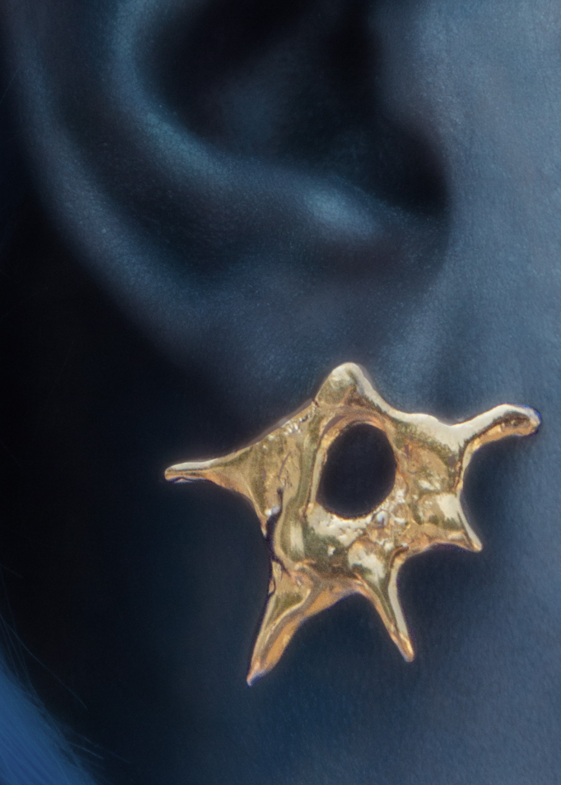 Gold SN1054 Alba Earrings