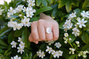Indifferent daisy signet Sken brand photo
