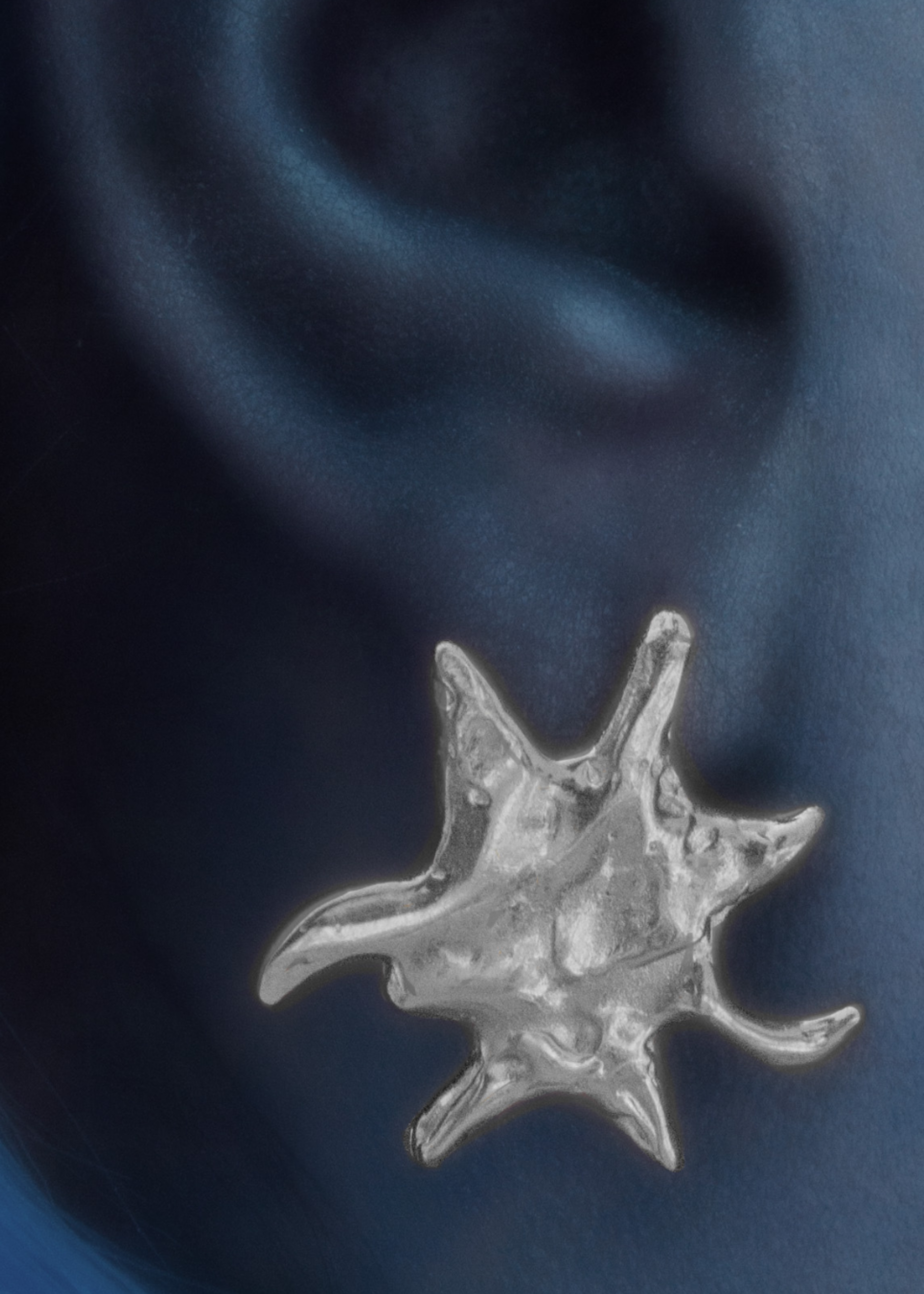 SILVER 3c58 Alba Earrings
