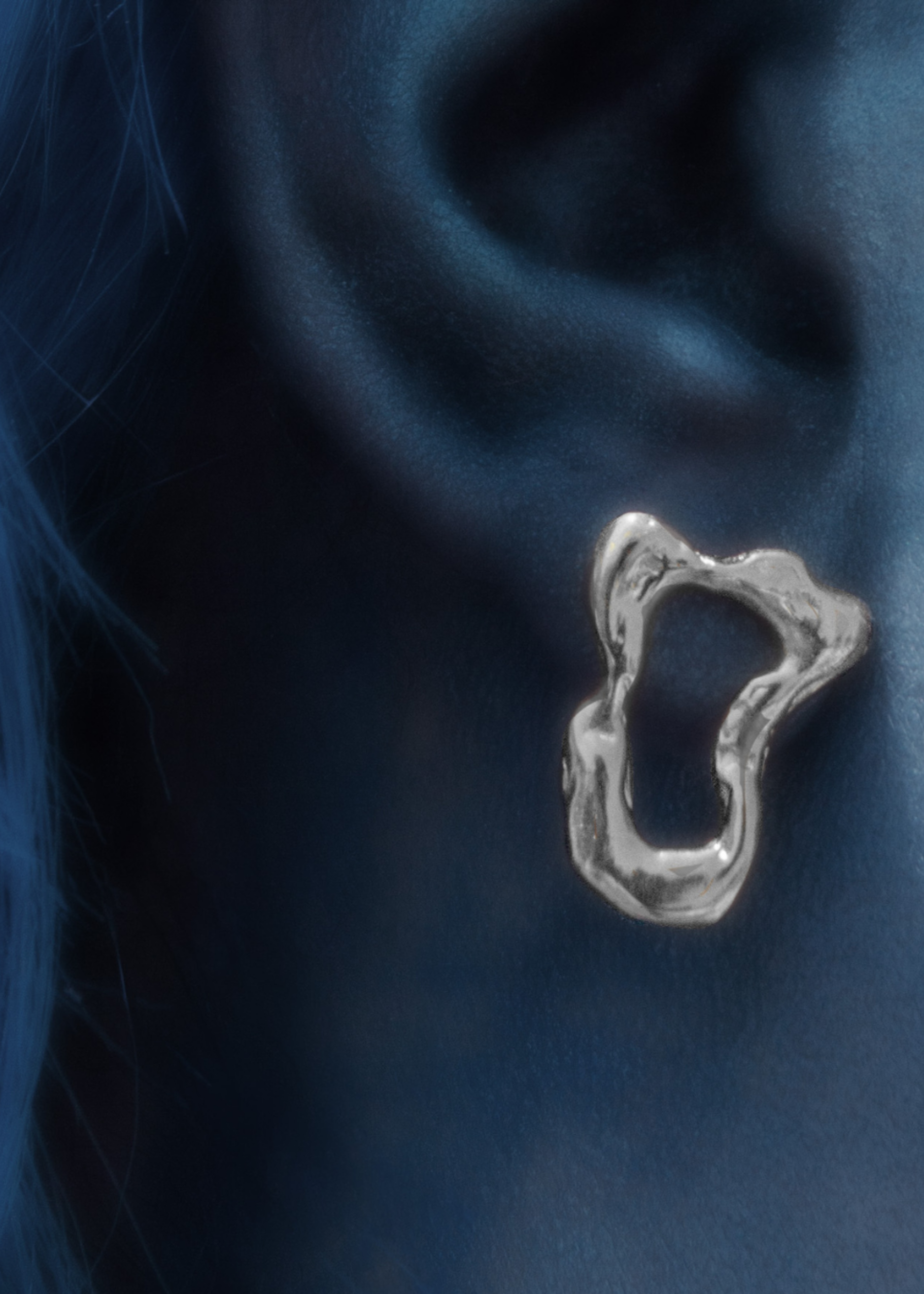 Silver NGC2392.2 earrings alba