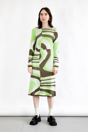 Land Cruise Hockney Dress (6711110926422)